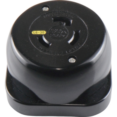 美國電機(jī) AMERICAN DENKI 3321-L6 　插座　接地2P30A250V